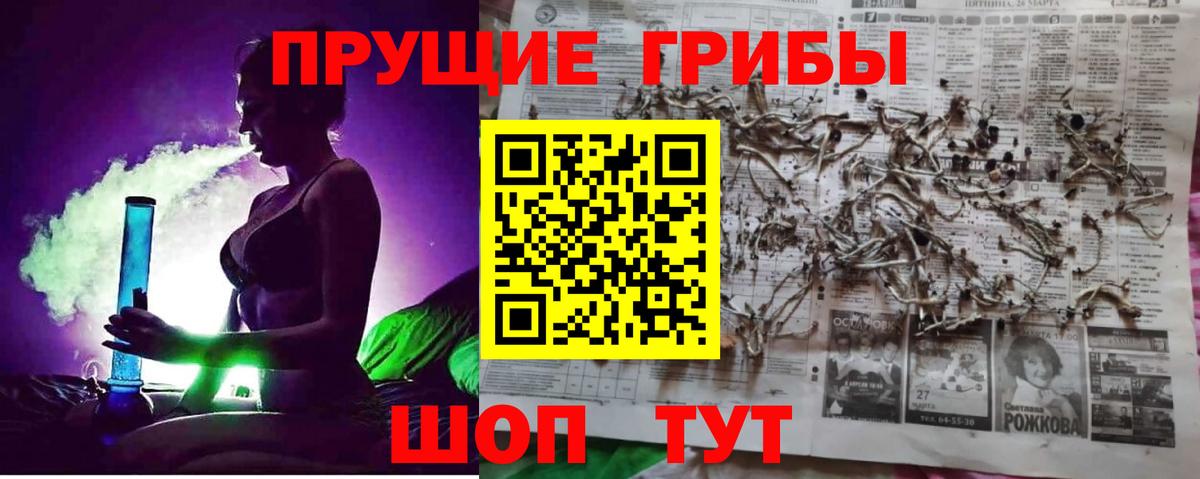 Псилоцибиновые грибы Psilocybine cubensis Златоуст