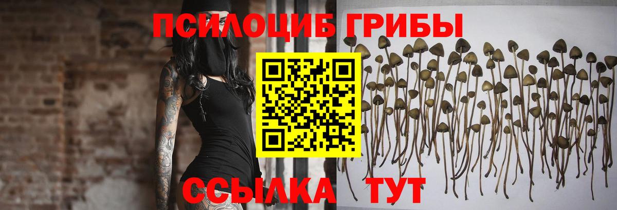 купить наркотики цена  Вход с VPN  Златоуст  Галлюциногенные грибы мицелий  Псилоцибиновые грибы прущие грибы 